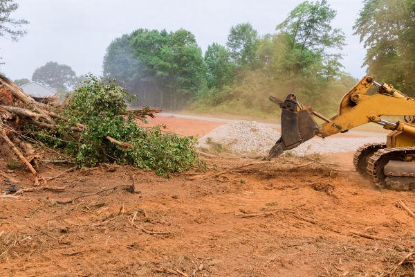 Ground Clearing in Grand Blanc
