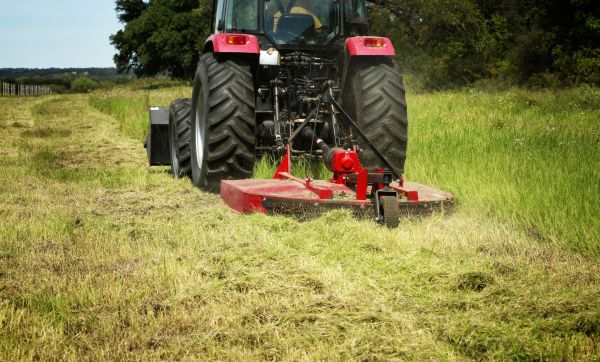 Brush Clearing Service in Grand Blanc