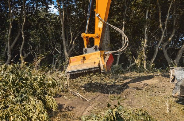 Brush Removal Service in Grand Blanc