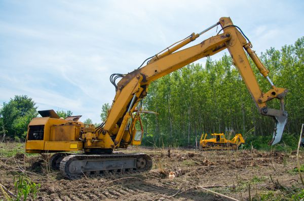 Farm Clearing in Grand Blanc