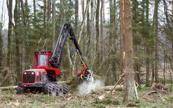 Forest Clearance Service in Grand Blanc