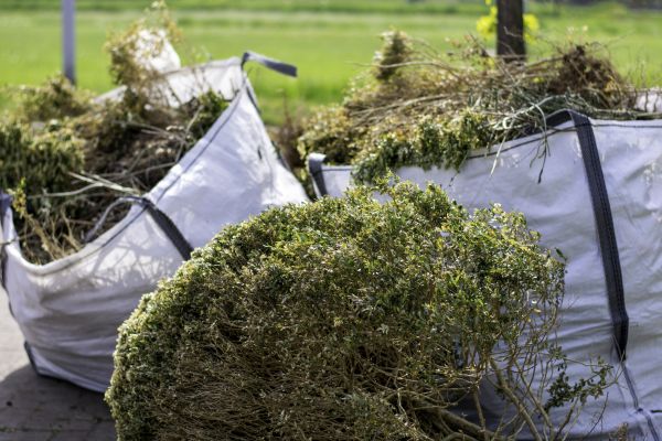 Cost of Bushes Clearing in Grand Blanc