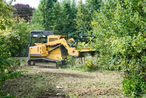 Pathway Clearing in Grand Blanc