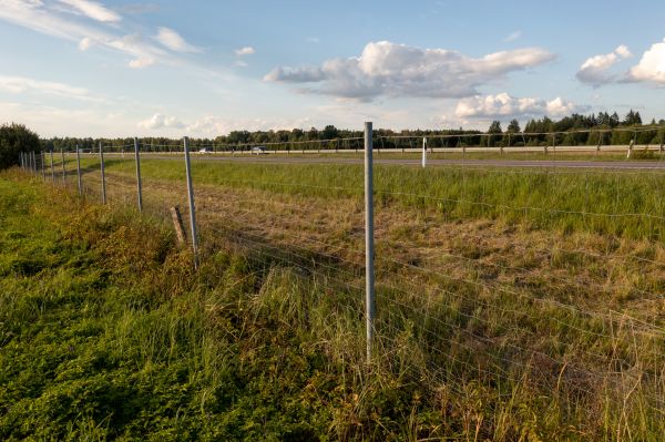 Property Line Clearing in Grand Blanc