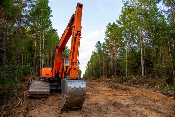 Backhoe Land Clearing in Grand Blanc